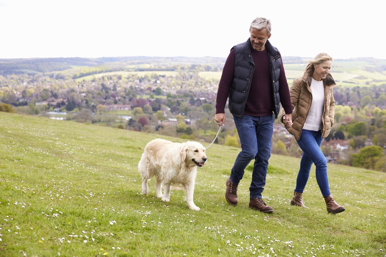 Middle-aged man and woman holding hands while walking a dog on grass